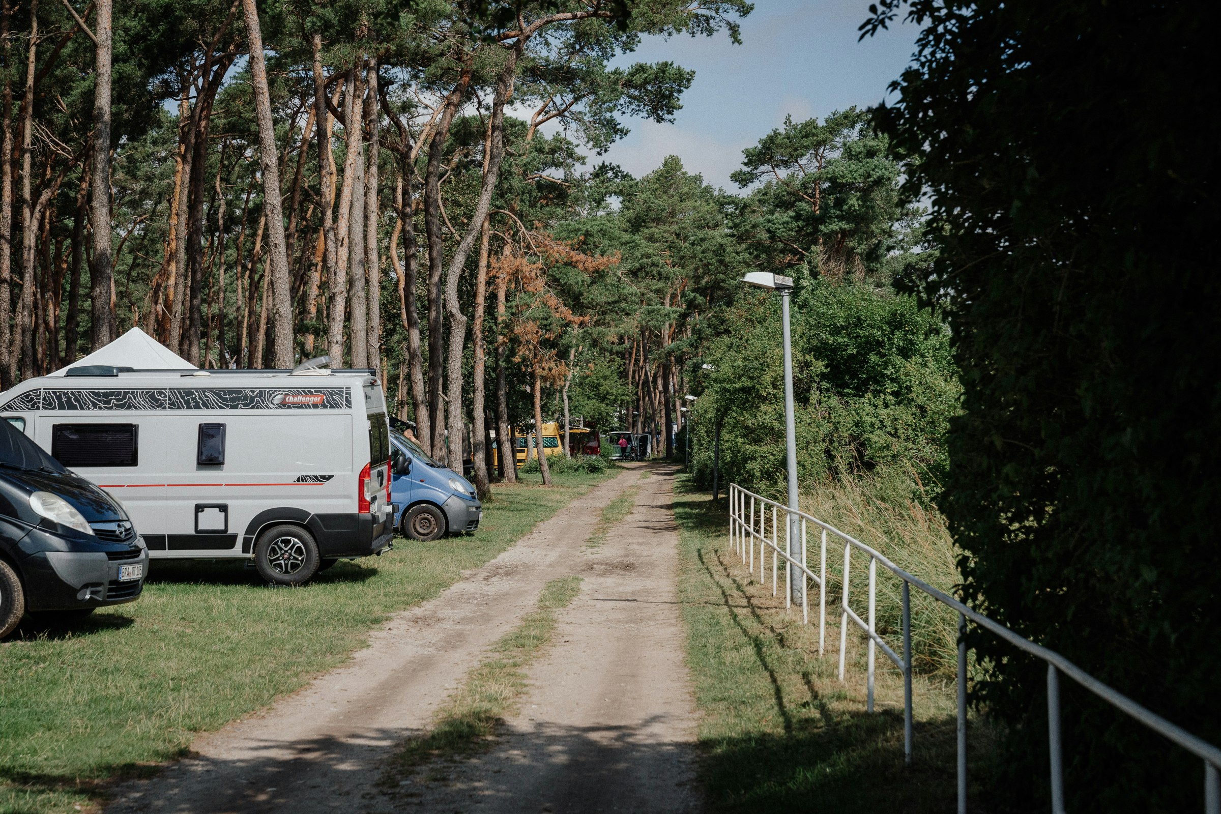 Wildwood Camping Rügen - Standplätze im Grünen unter Bäumen
