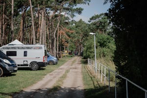 Wildwood Camping Rügen - Standplätze im Grünen unter Bäumen