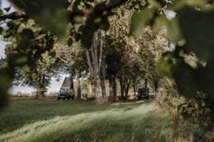 Wildwood Camping Rügen - Standplätze im Grünen unter Laubbäumen im Schatten