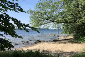 Seeufer mit Sandstrand, Bäumen im Vordergrund und einem schmalen Pfad am Wasser.