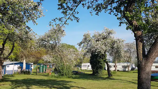 Naturcamping Seekamp