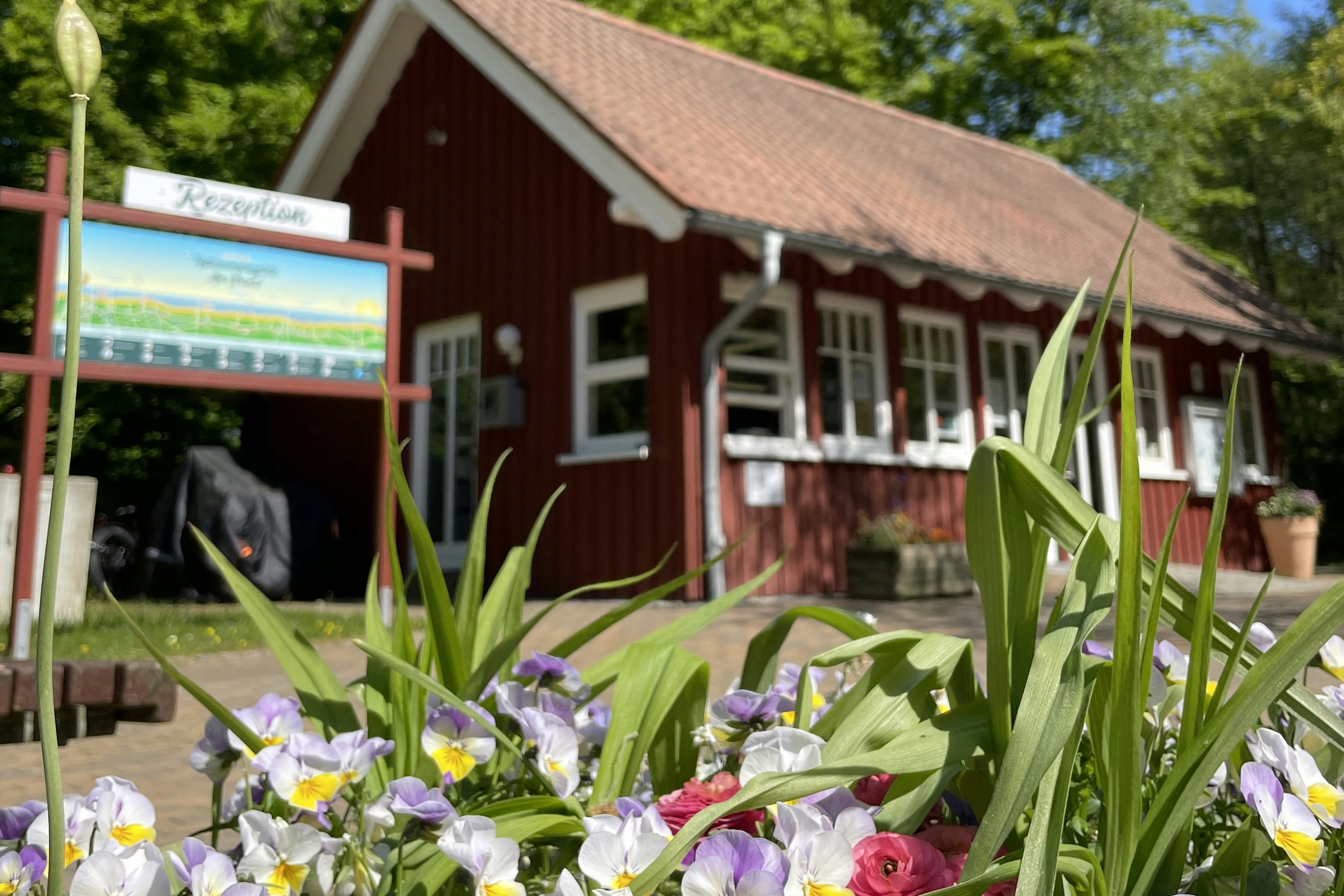 Naturcampingplatz "Am Strand" Ückeritz