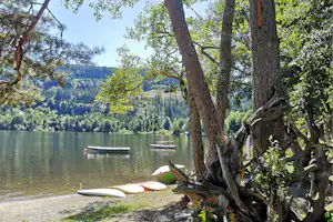 Naturcamping Weiherhof - Lage am See