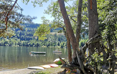 Naturcamping Weiherhof