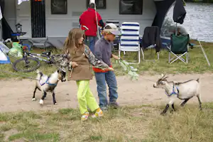 Naturcamping Zum Hexenwäldchen - Kinder mit Ziegen auf dem Stellplatz vom Campingplatz