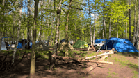 Naturcampingplatz am Olbasee - Zeltplätze im Halbschatten