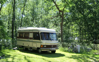 Naturcampingplatz am Springsee