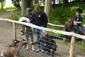 NaturCampingplatz Bernsteinreiter Barth - Streichelzoo auf dem Campingplatz