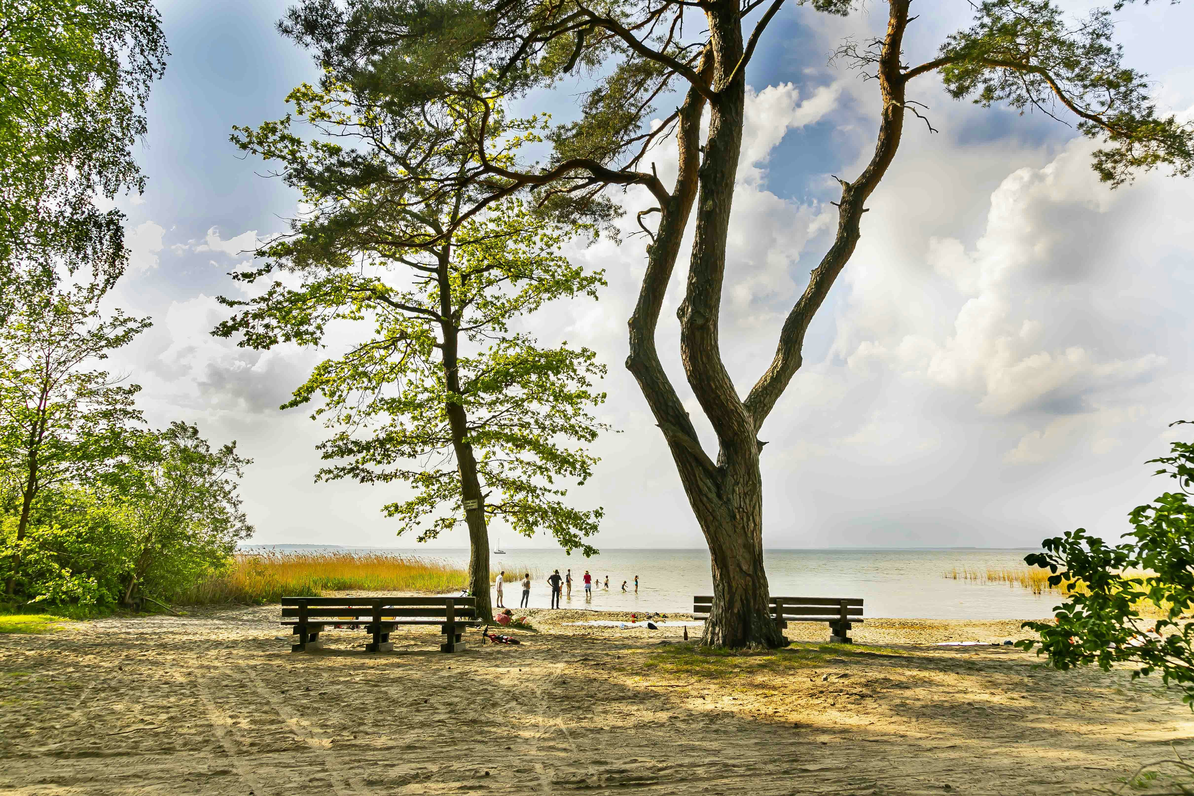 Naturcampingplatz Bolter Kanal - Blick auf das Ufer der Müritz mit Badestrand