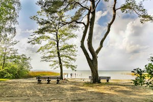 Naturcampingplatz Bolter Kanal - Blick auf das Ufer der Müritz mit Badestrand