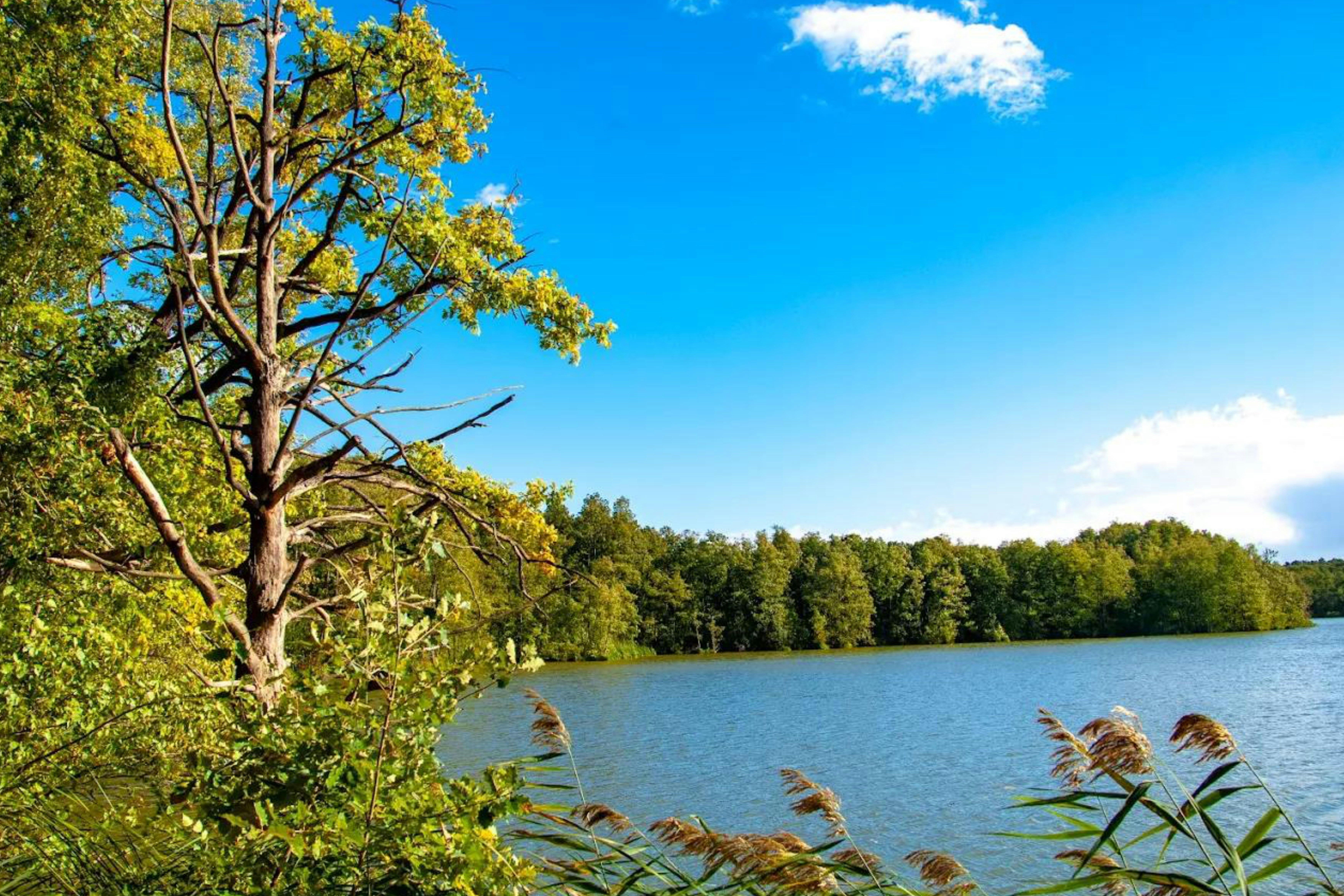 Naturcampingplatz -Großer Treppelsee- - Blick auf den See am Campingplatz