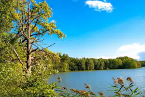 Naturcampingplatz -Großer Treppelsee- - Blick auf den See am Campingplatz