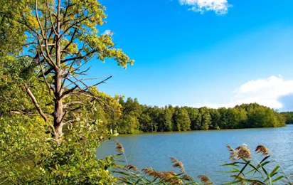 Naturcampingplatz "Großer Treppelsee"