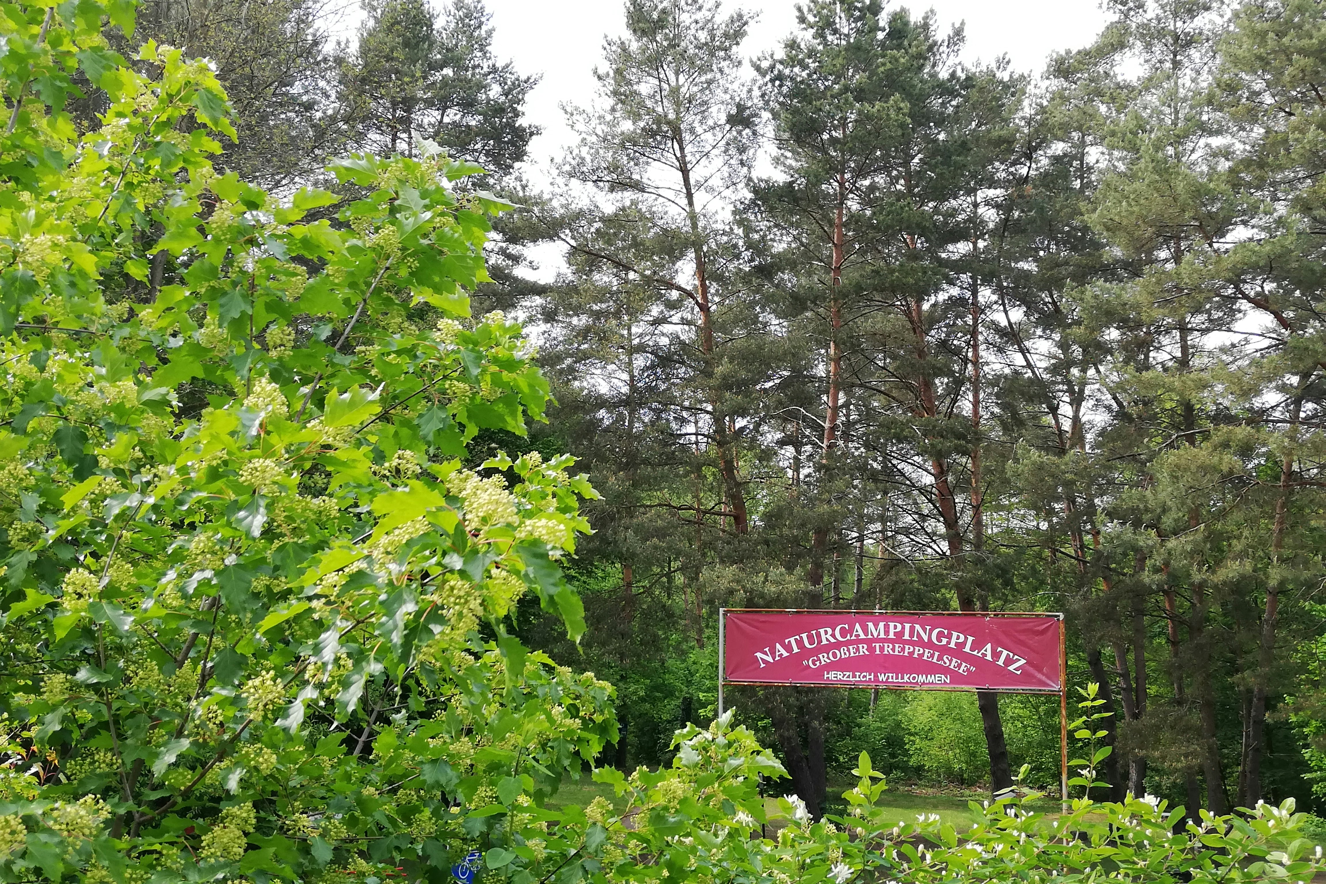 Naturcampingplatz -Großer Treppelsee- - Eingang des Campingplatzes