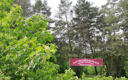Naturcampingplatz "Großer Treppelsee"