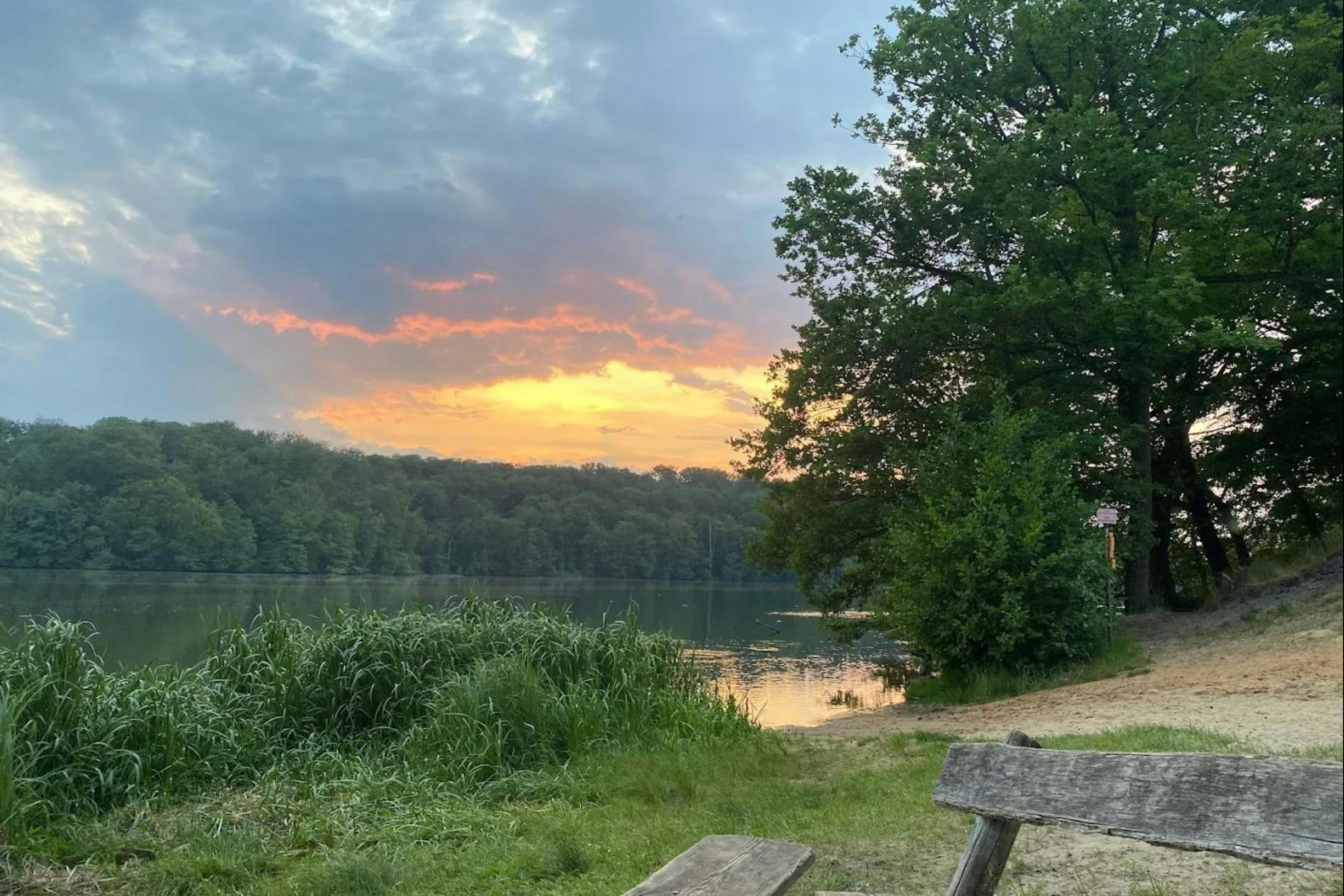 Naturcampingplatz "Großer Treppelsee"
