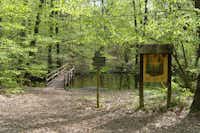 Naturcampingplatz -Großer Treppelsee- - Wanderweg in der Natur in der Umgebung des Campingplatzes