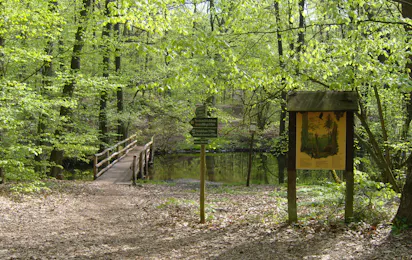 Naturcampingplatz "Großer Treppelsee"