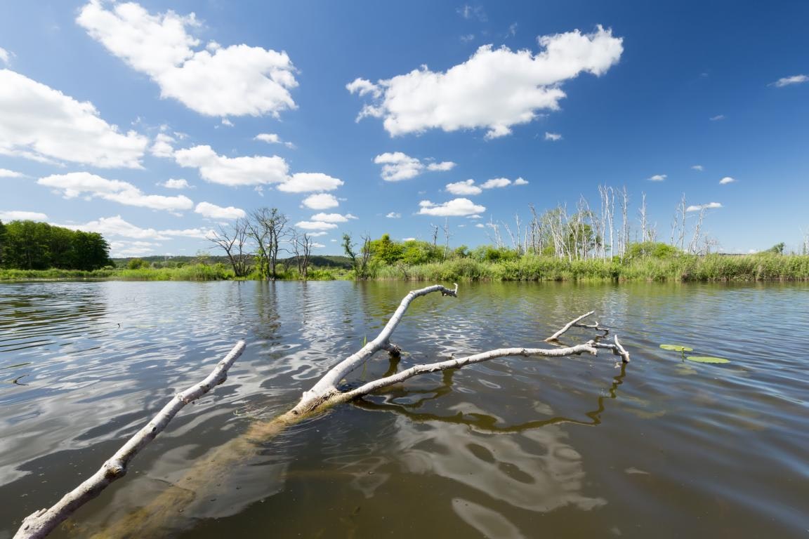 Naturcampingplatz Salem (Kummerower See) - Blick auf den See am Campingplatz