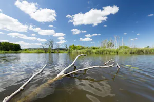 Naturcampingplatz Salem (Kummerower See) - Blick auf den See am Campingplatz