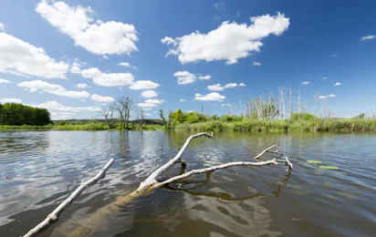 Naturcampingplatz Salem (Kummerower See)
