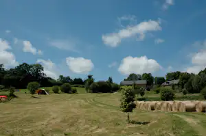 Campingwiese mit Zelt, Hecken und Bäumen, im Hintergrund mehrere Wohnwagen und ein Weg durch das Grün.