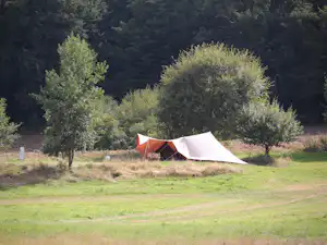 Ein Zelt auf einer grünen Wiese, umgeben von Bäumen im Hintergrund, auf einem Campingplatzgelände.