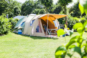 Naturistisch Recreatiepark Elsendorp - Zeltplatz vom Campingplatz auf grüner Wiese
