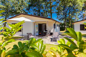 Naturistisch Recreatiepark Elsendorp - Mobilheime vom Campingplatz zwischen Bäumen