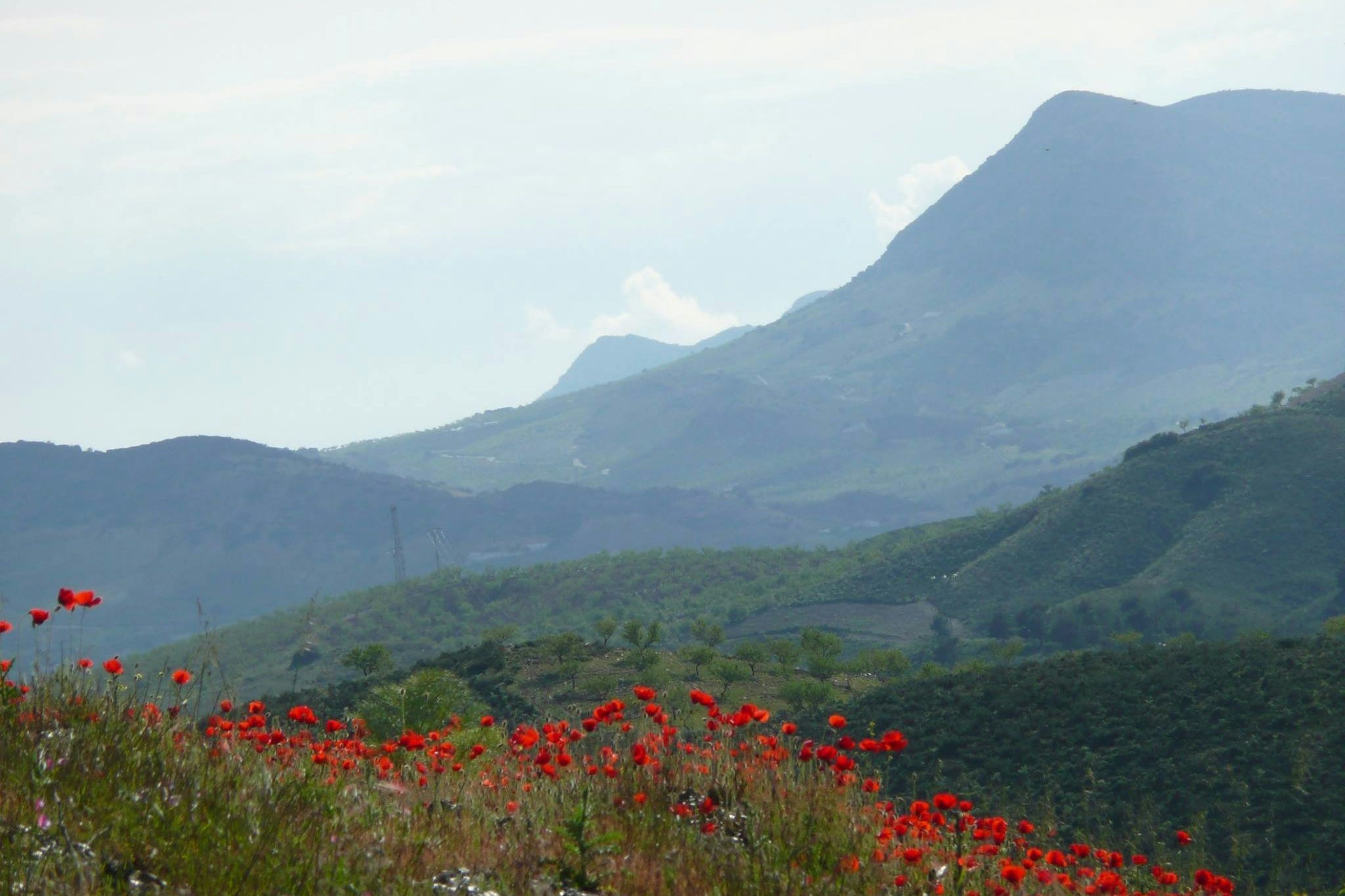 Naturistische Natuur Camping El Zorro - Aussicht in die Natur in der Umgebung des Campingplatzes