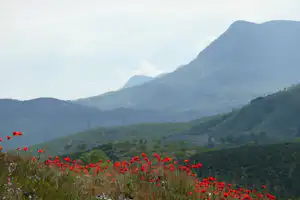 Naturistische Natuur Camping El Zorro - Aussicht in die Natur in der Umgebung des Campingplatzes
