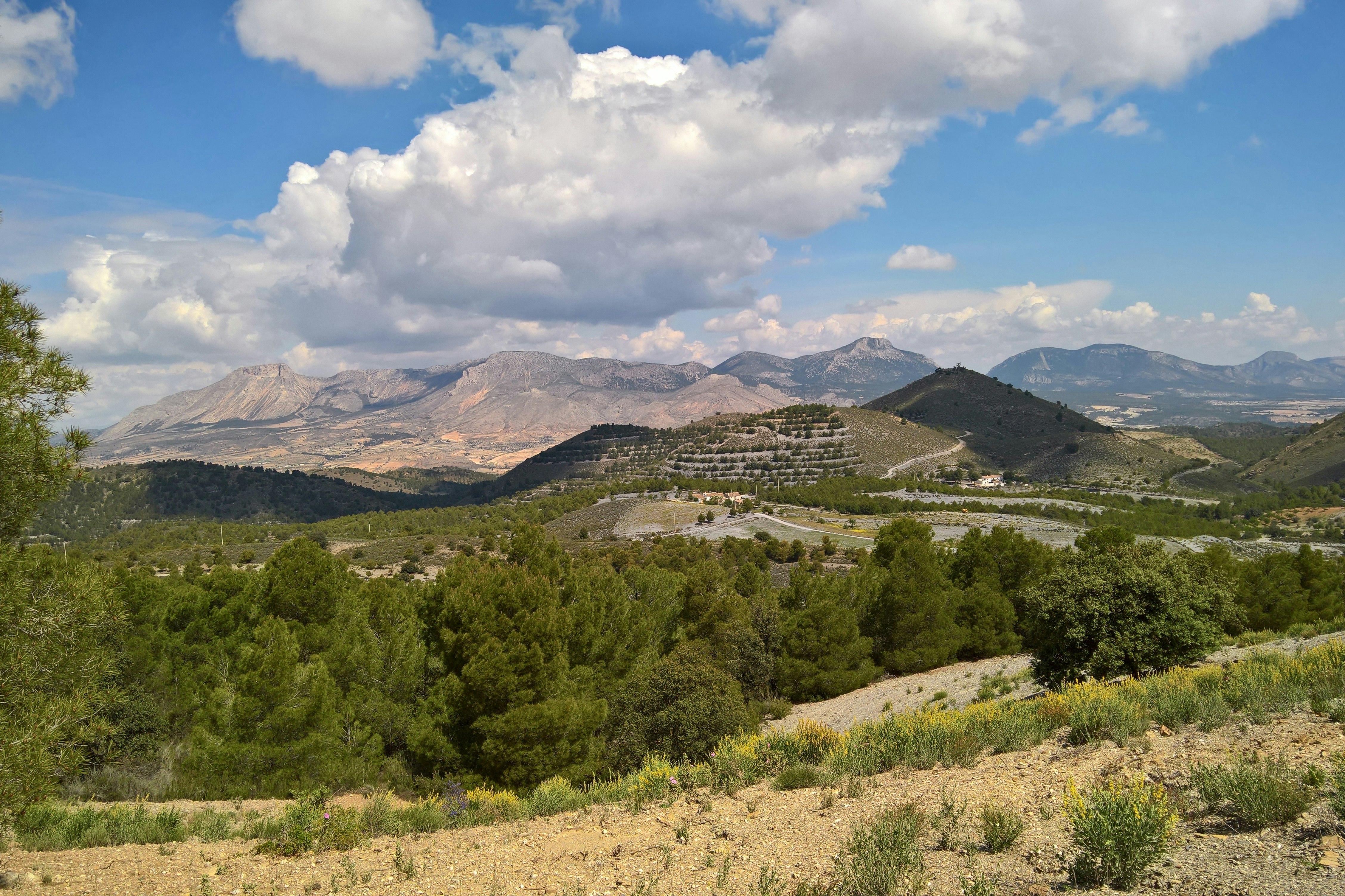 Naturistische Natuur Camping El Zorro - Aussicht in die Umgebung des Campingplatzes