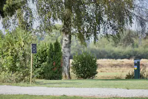 Naturresort Weserinsel - Standplätze auf dem Campingplatz