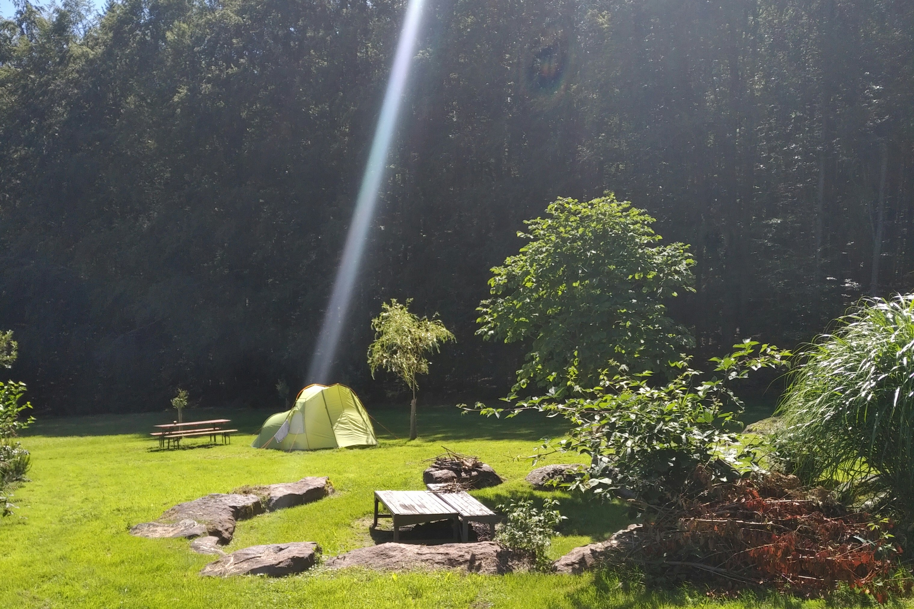 Naturzeltplatz Jägerfleck - Blick auf den Campingplatz direkt am Wald