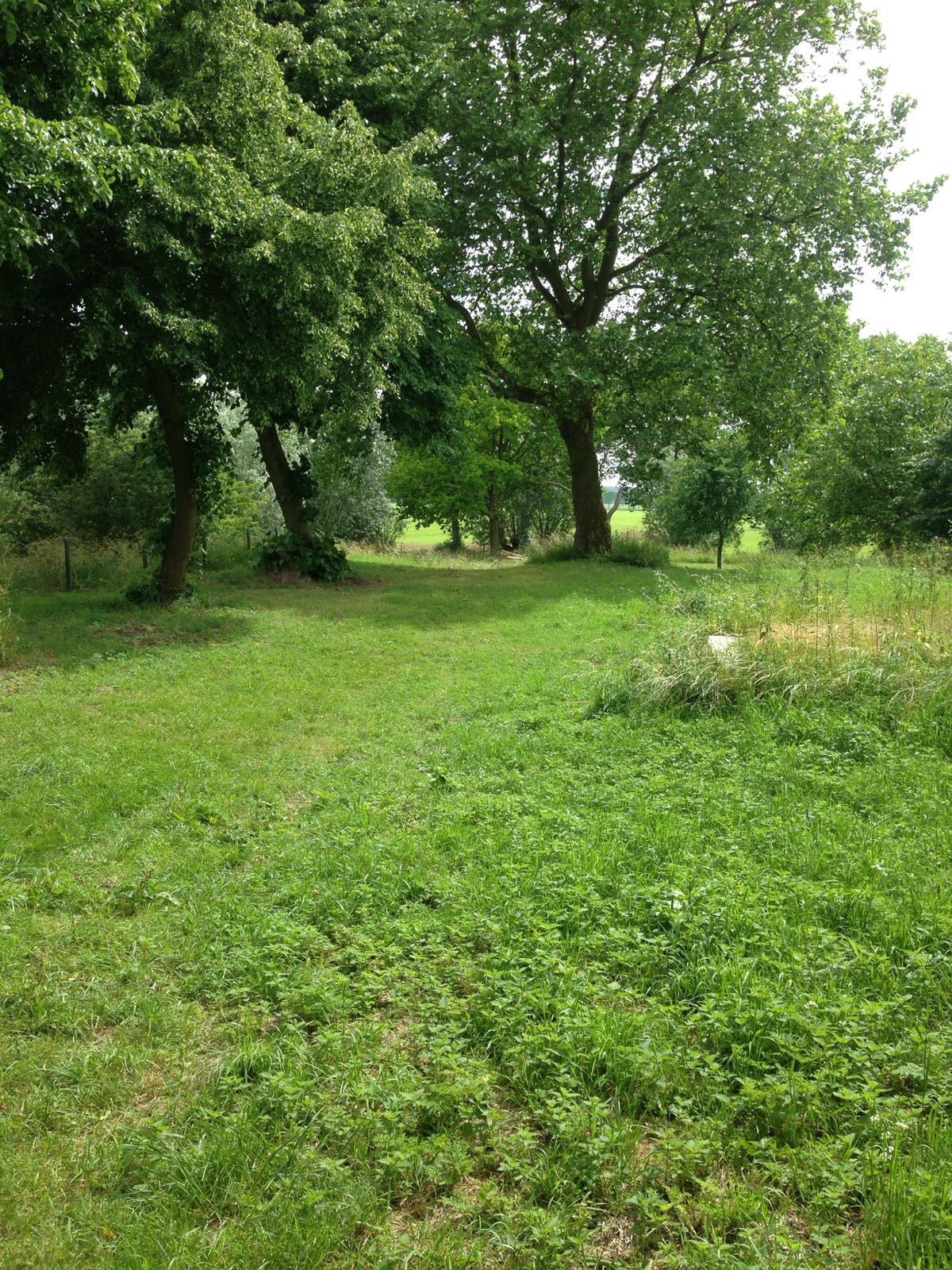 Natuurcamping Fort Everdingen