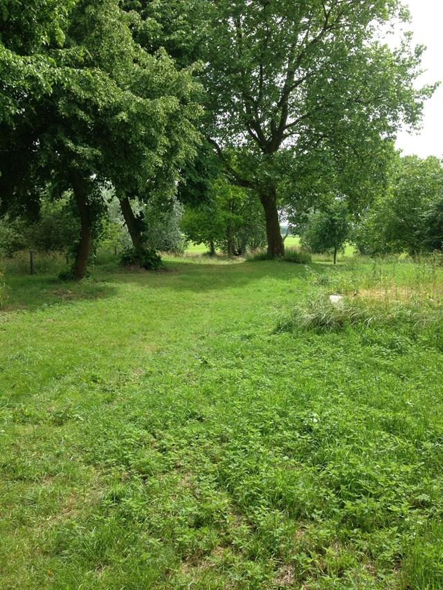 Natuurcamping Fort Everdingen