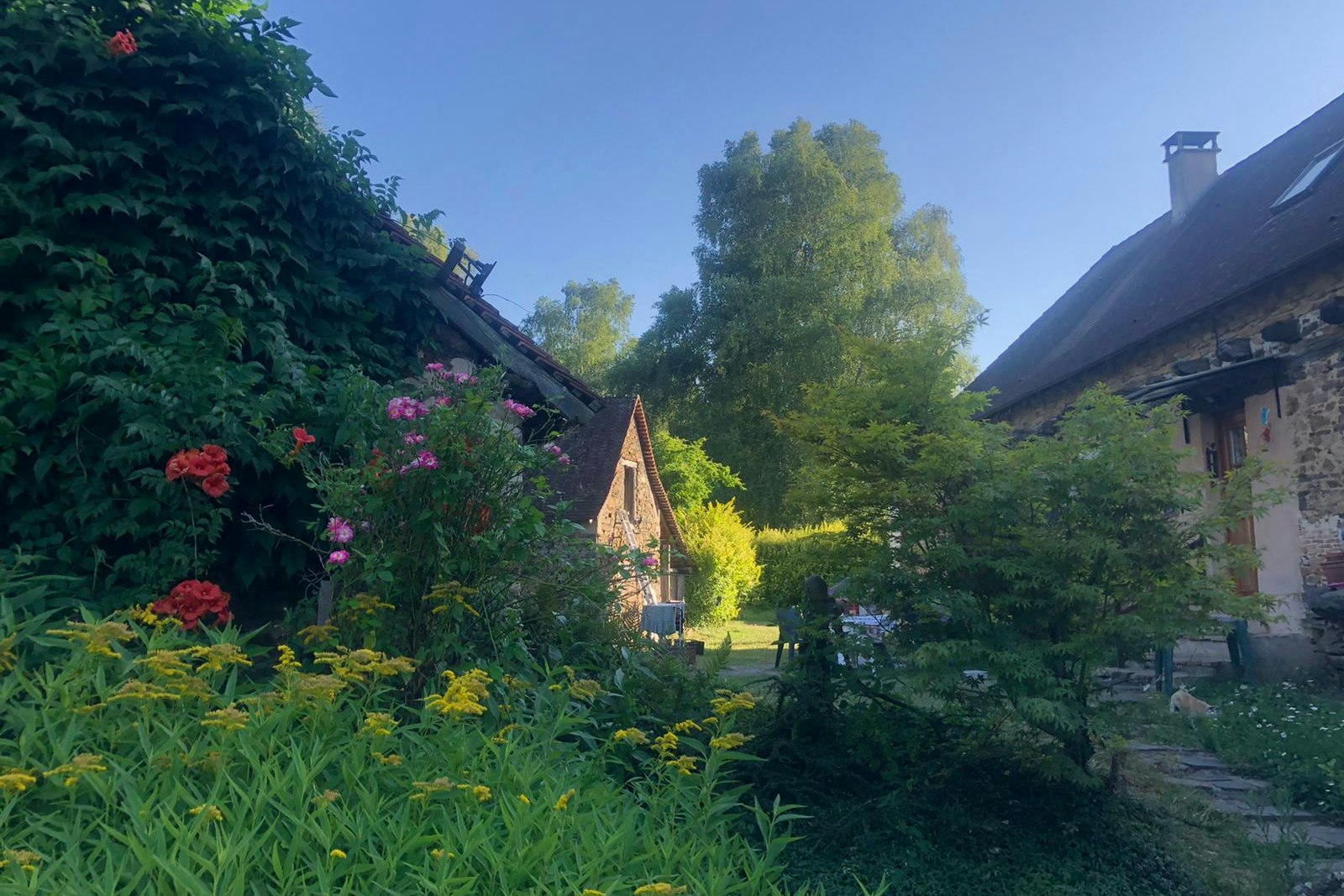 Natuurcamping Vive la Vie - Blick auf den Campingplatz geschmückt mit Büschen, Bäumen und Blumen