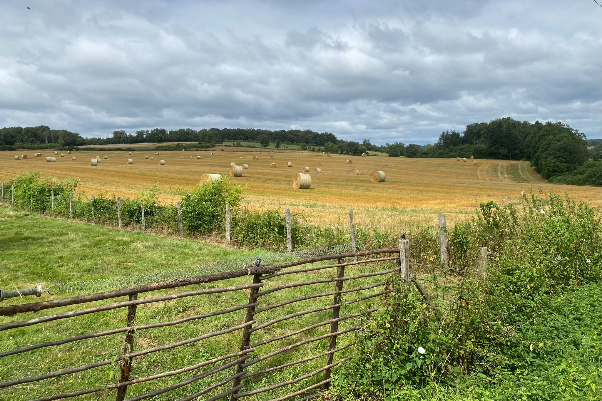 Natuurcamping Vive la Vie - Blick auf die Felder in der Umgebung des Campingplatzes