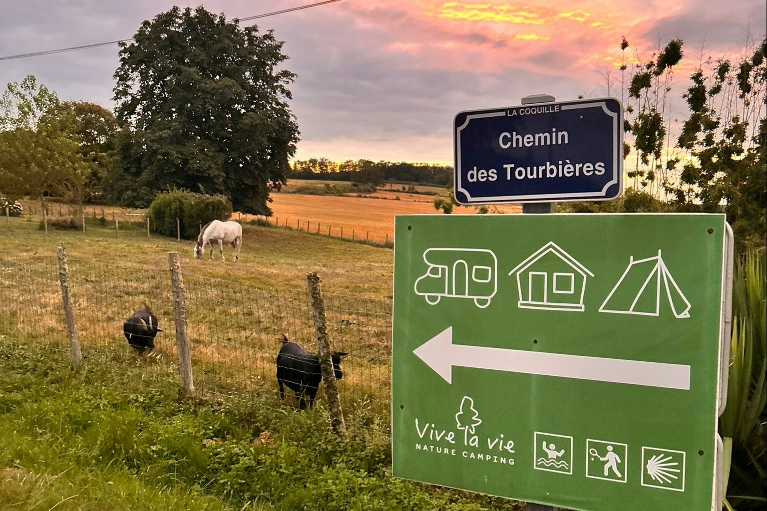 Natuurcamping Vive la Vie - Wegweiser neben einer Ziegen- und Ponyweide auf dem Campingplatz