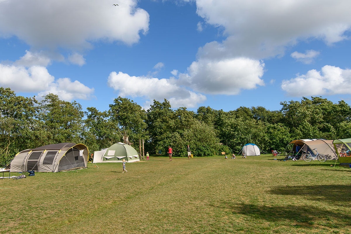 Natuurkampeerterrein Aaster Uiltje
