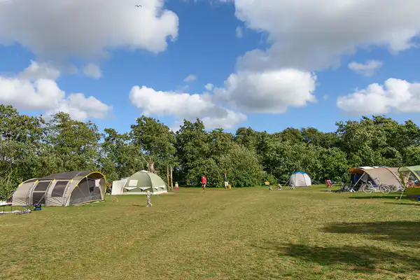 Natuurkampeerterrein Aaster Uiltje