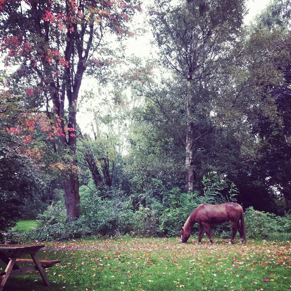 Natuurkampeerterrein De Bekhofschans