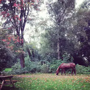 Natuurkampeerterrein De Bekhofschans