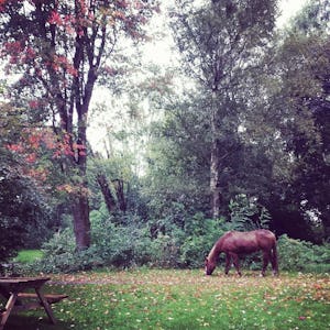 Natuurkampeerterrein De Bekhofschans