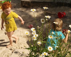 Natuurkampeerterrein De Bekhofschans