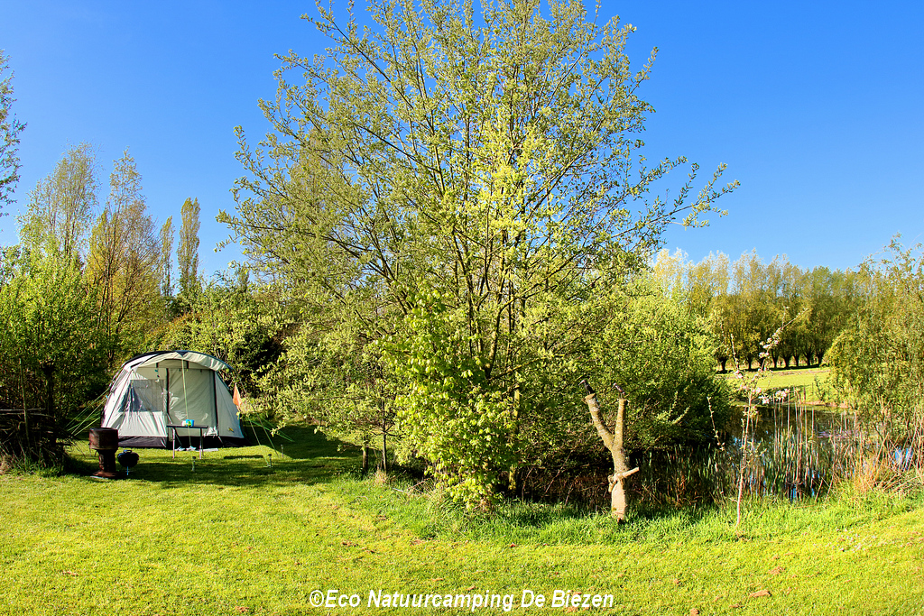 Natuurkampeerterrein De Biezen