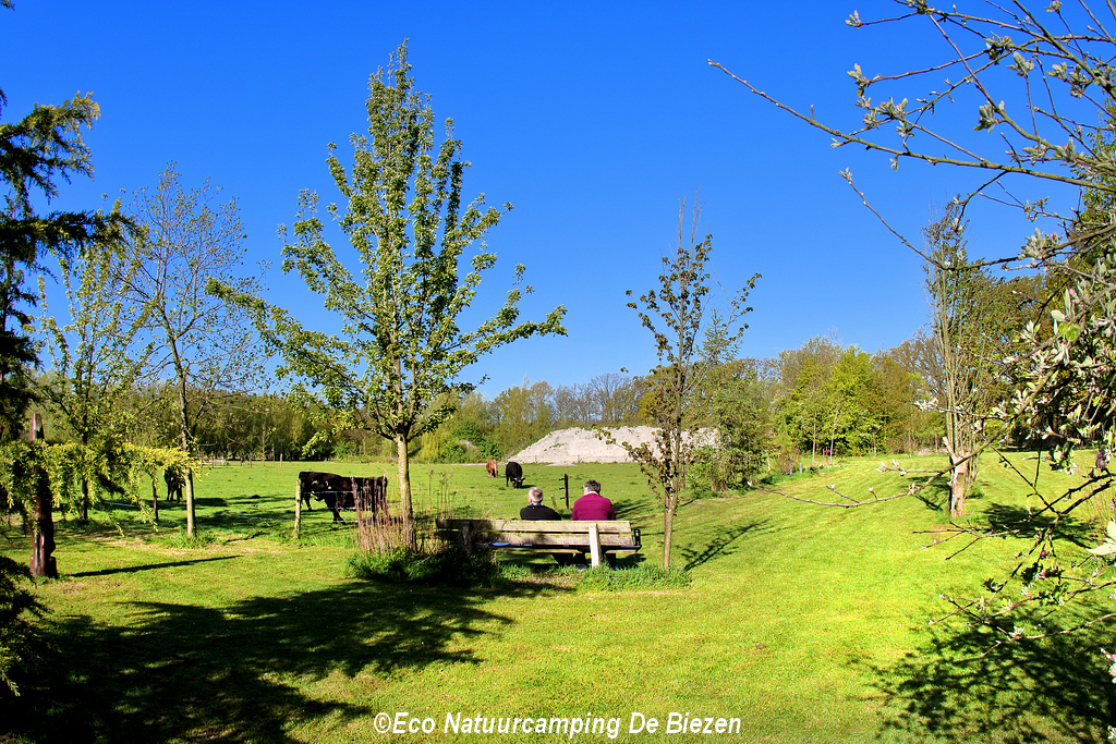 Natuurkampeerterrein De Biezen