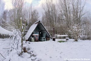 Natuurkampeerterrein De Biezen
