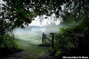 Natuurkampeerterrein De Biezen