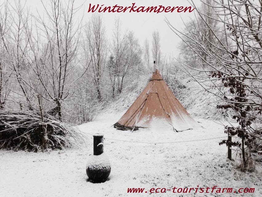 Natuurkampeerterrein De Biezen